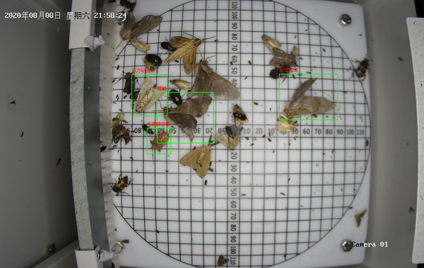 病蟲(chóng)害監(jiān)測(cè)系統(tǒng)圖片3