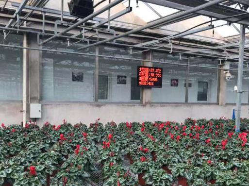 智慧大棚環(huán)境監(jiān)測系統(tǒng)圖片1