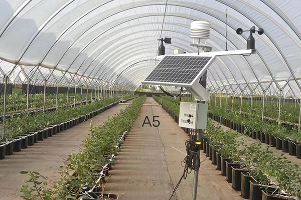 智慧大棚環(huán)境監(jiān)測系統(tǒng)圖片5