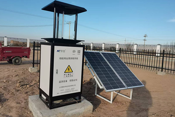 林業有害生物監測圖片3