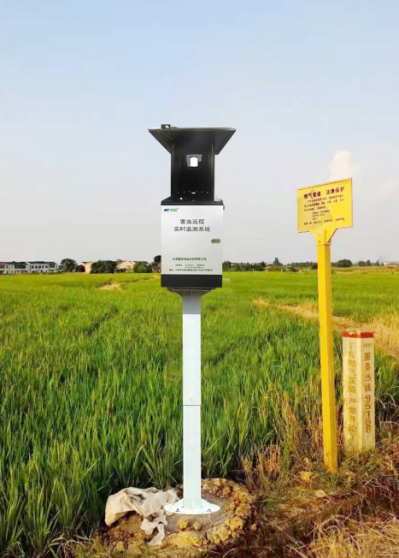 物聯網天牛智能監測系統圖片3