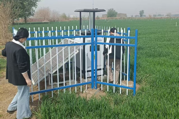 智慧蟲情監測系統圖片2