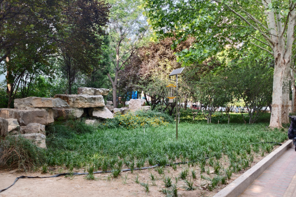 物聯網殺蟲燈圖片4