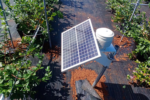 智能自動氣象觀測站圖片4